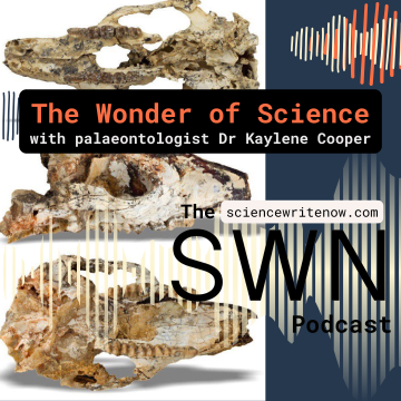 SWN podcast graphic