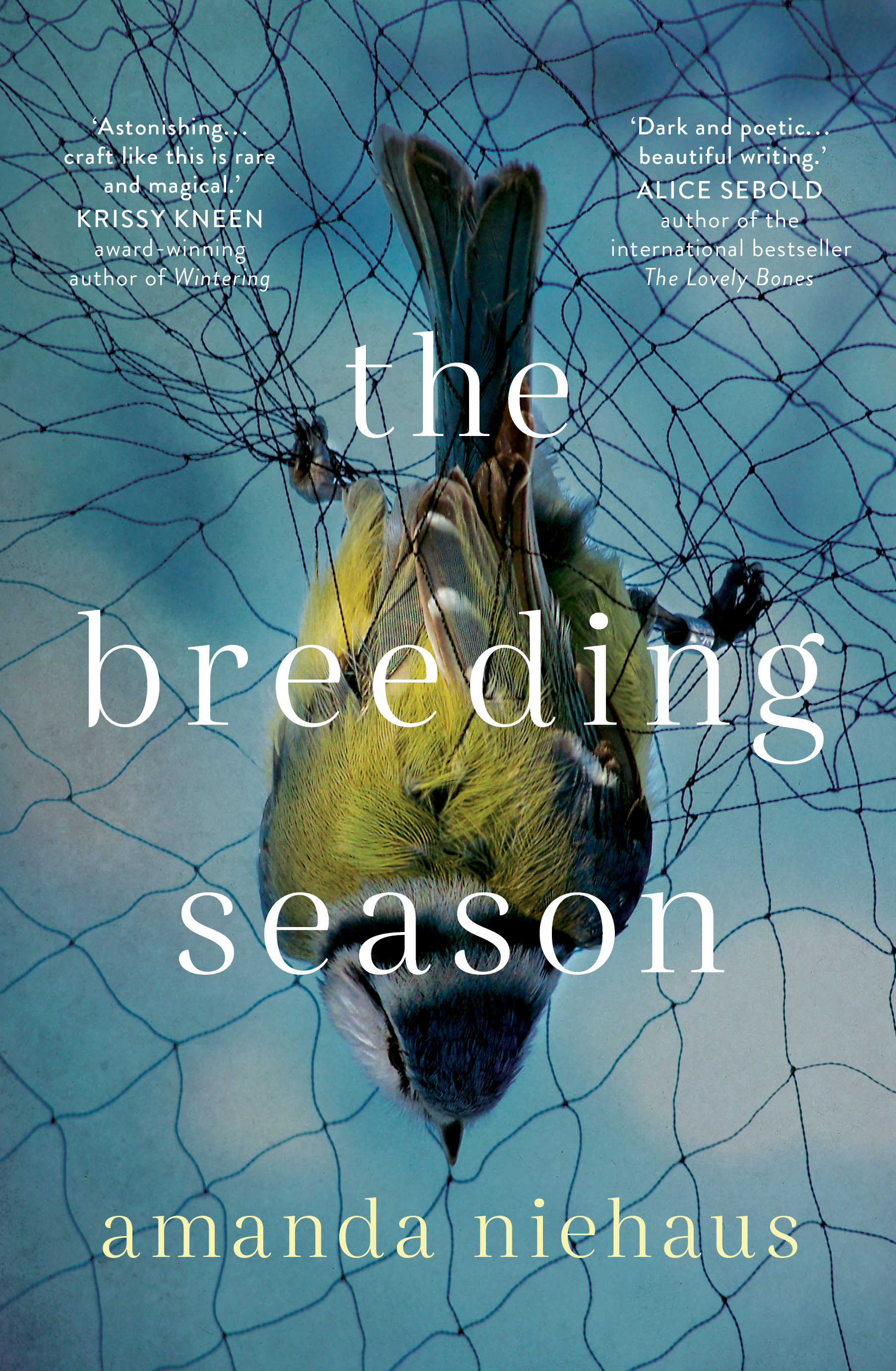 The Breeding Season by Amanda Niehaus book cover: a bird holds onto tangled wire.