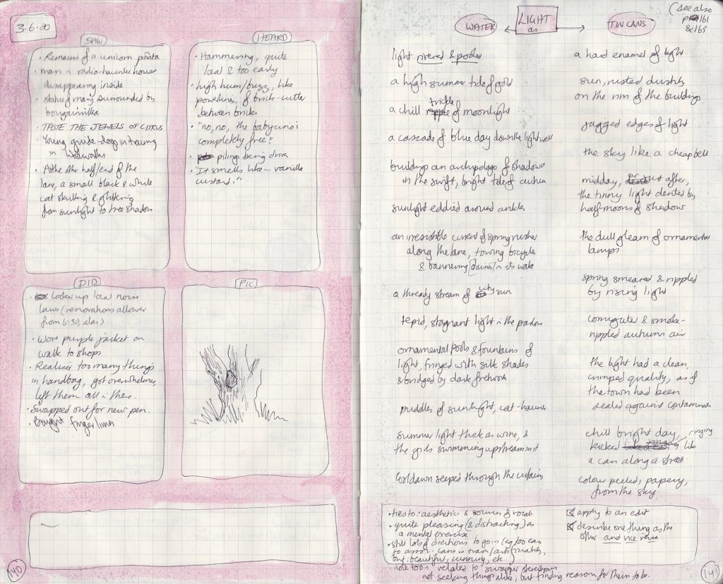 Two journal pages with writing and drawings