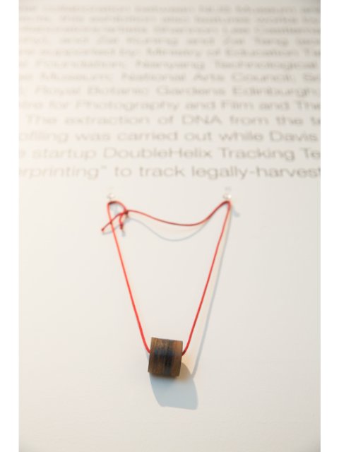 A wooden talisman like object with a red string on a white surface. Higher up on the white surface are faint typed words.