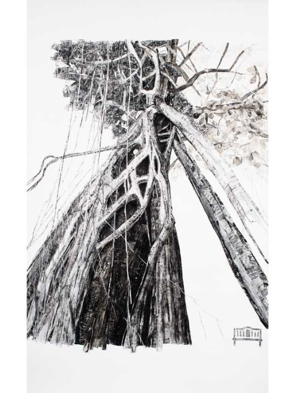 Woodprint collage of a tree from below.